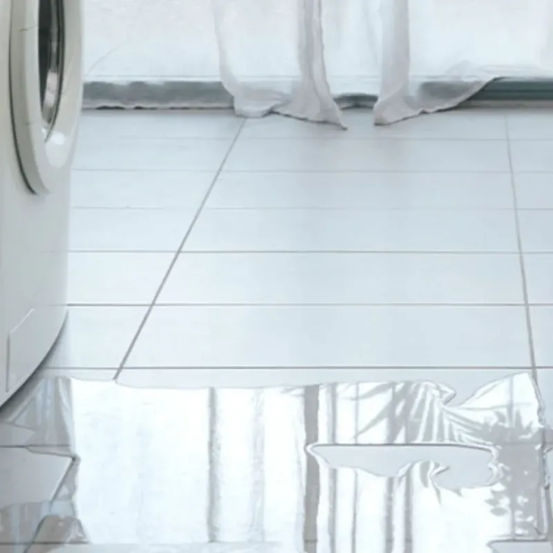 Appliance Leak Cleanup in Huntington County, IN