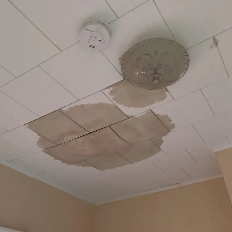 Ceiling Water Damage Repair in Huntington County, IN