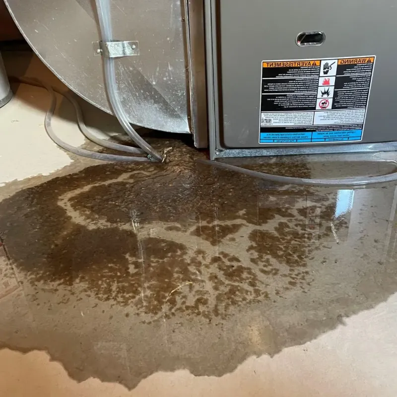 Pipe Burst and Leak Restoration in Huntington County, IN