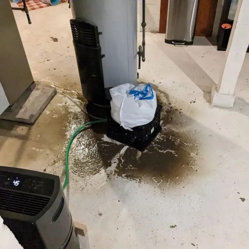 Sewage Backup Cleanup Service in Huntington County, IN